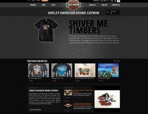 Harley Davidson