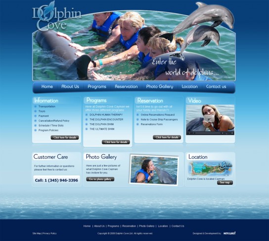 Dolphin Cove